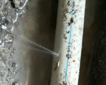 竹溪卫生间测漏水多少钱